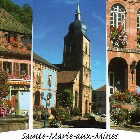 Les Lilas Sainte-Marie-aux-Mines Extérieur photo