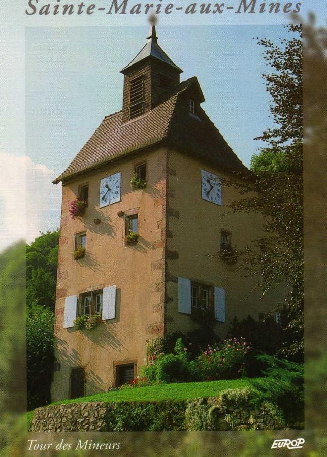 Les Lilas Sainte-Marie-aux-Mines Extérieur photo